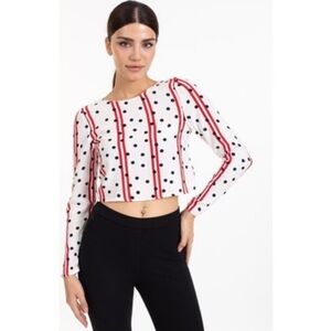 Zara Striped and Polka Dot Crop Top